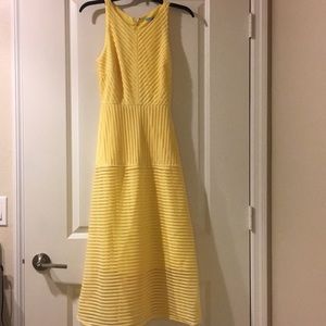 Antonio Melani dress.